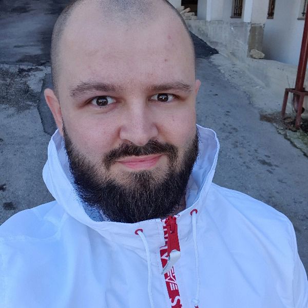 Damir Avdic